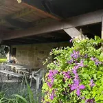 Renove Rdc Terrasse Wepion Namur