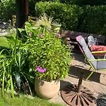 Renove Rdc Terrasse Wepion Daire