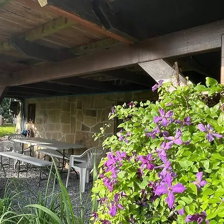 Renové Rdc Terrasse Wépion Namur