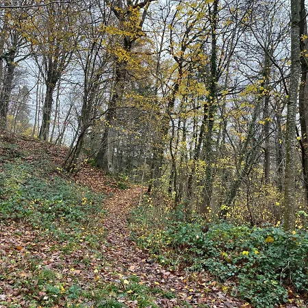 Renove Rdc Terrasse Wepion アパート ナミュール