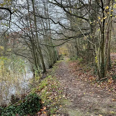 アパート Renove Rdc Terrasse Wepion *