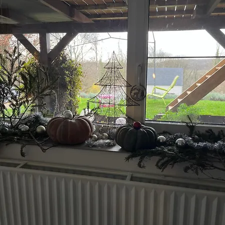 Renove Rdc Terrasse Wepion *