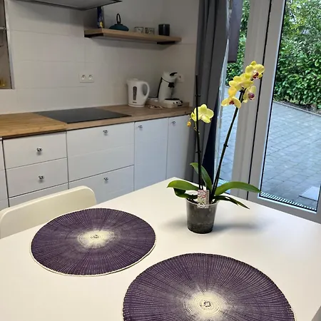 Renové Rdc Terrasse Wépion Appartement Namur