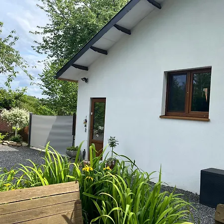 Renové Rdc Terrasse Wépion Appartement