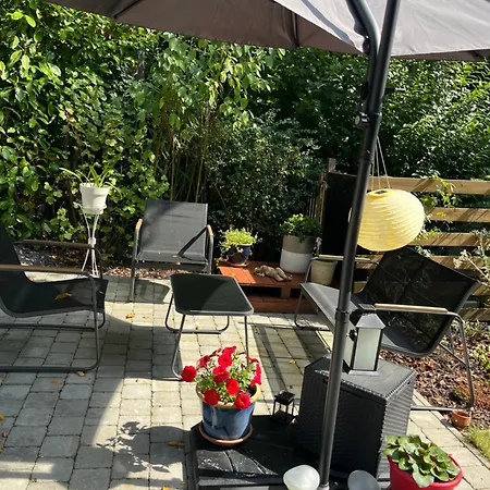 Renové Rdc Terrasse Wépion Namur
