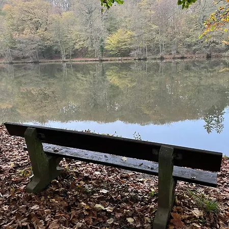 Renove Rdc Terrasse Wepion アパート