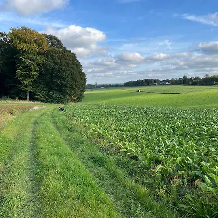 Renové Rdc Terrasse Wépion