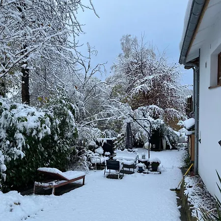 Appartement Renové Rdc Terrasse Wépion Namur