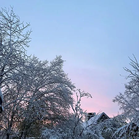 Renové Rdc Terrasse Wépion *