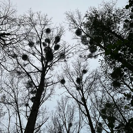 Renové Rdc Terrasse Wépion Namur