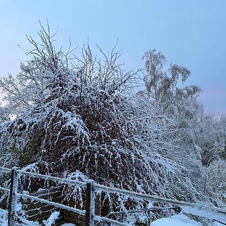 アパート Renove Rdc Terrasse Wepion ナミュール