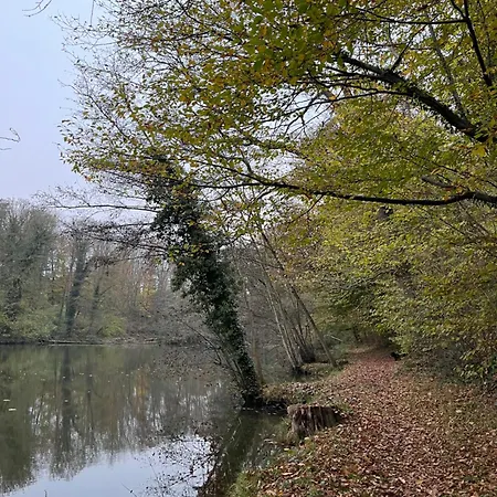 Renove Rdc Terrasse Wepion *