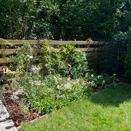 Appartement Renové Rdc Terrasse Wépion