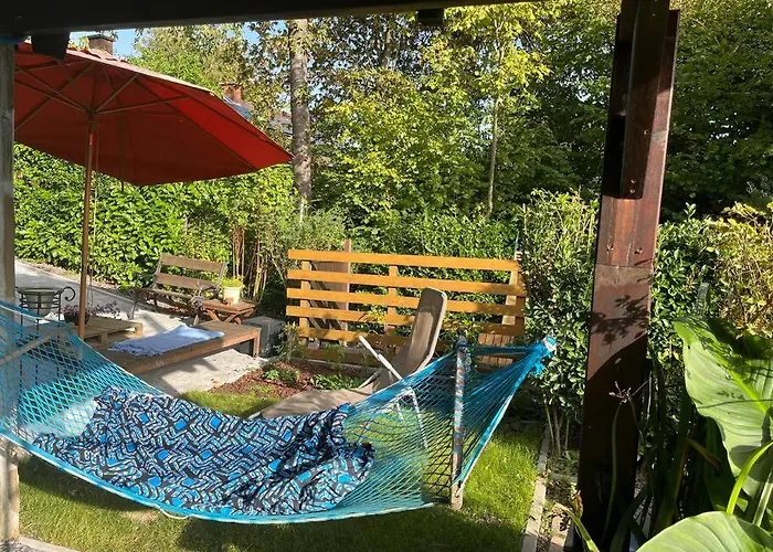 Renove Rdc Terrasse Wepion