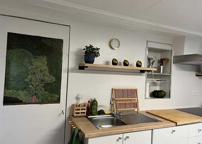 Renove Rdc Terrasse Wepion