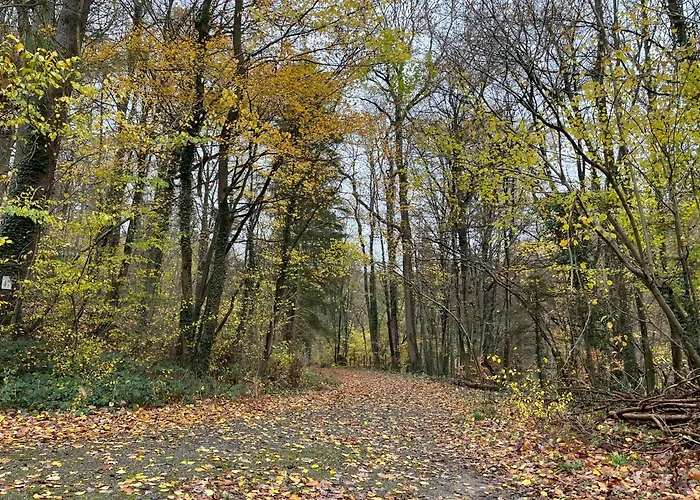 Renove Rdc Terrasse Wepion