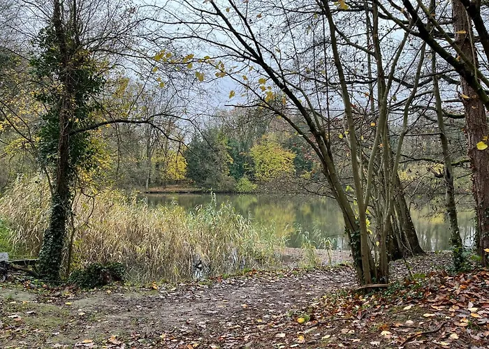 Daire Renove Rdc Terrasse Wepion Namur