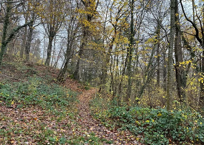 Renove Rdc Terrasse Wepion Daire Namur