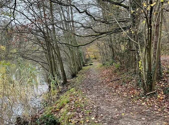 Daire Renove Rdc Terrasse Wepion *