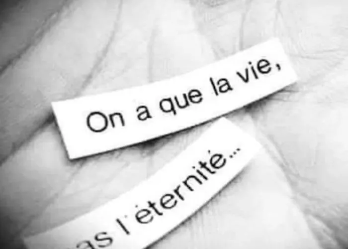 Renove Rdc Terrasse Wepion Апартаменты