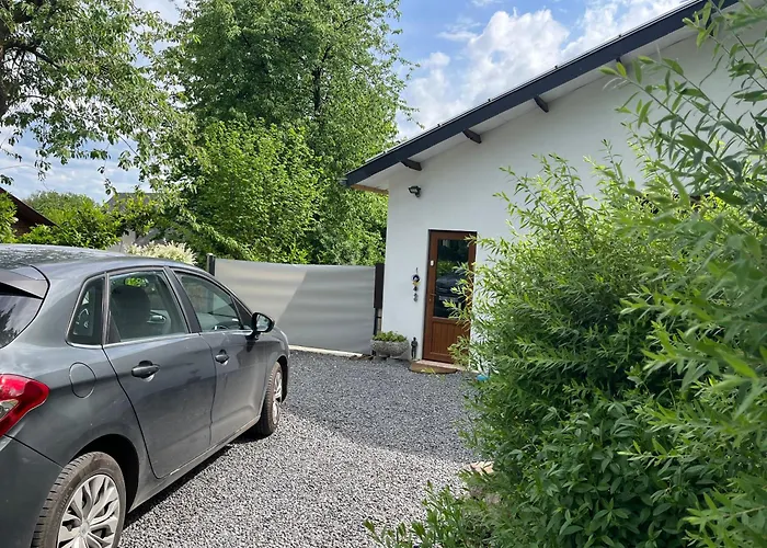 Daire Renove Rdc Terrasse Wepion Namur