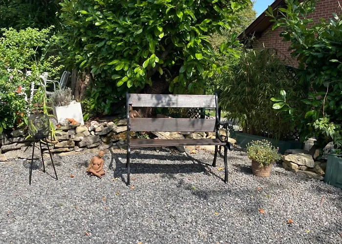 Daire Renove Rdc Terrasse Wepion Namur