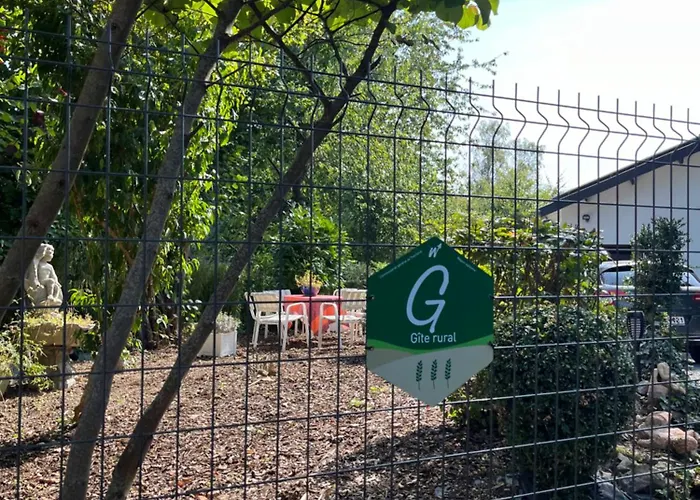 Renove Rdc Terrasse Wepion