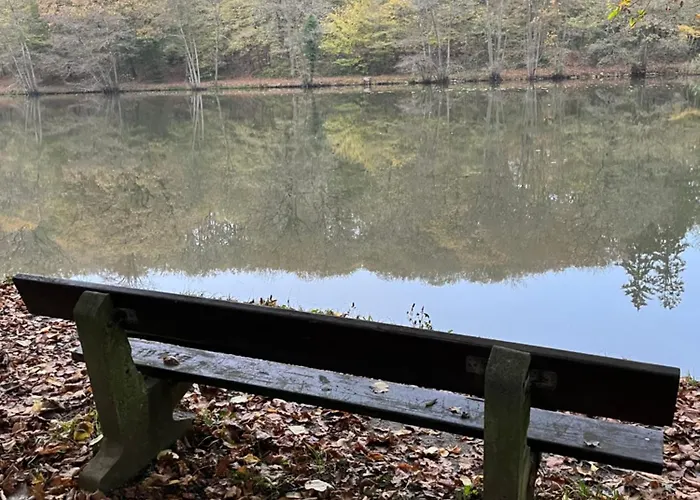 Renove Rdc Terrasse Wepion Daire