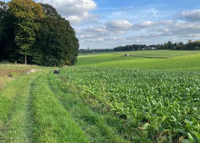 Renove Rdc Terrasse Wepion