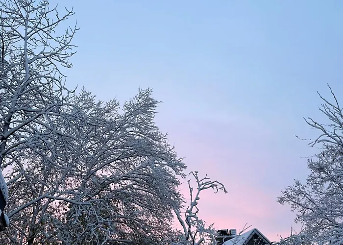 Renove Rdc Terrasse Wepion *