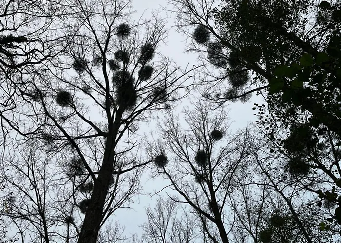 Renove Rdc Terrasse Wepion Namur