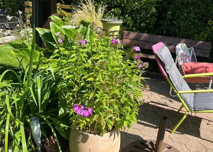 Renove Rdc Terrasse Wepion Daire